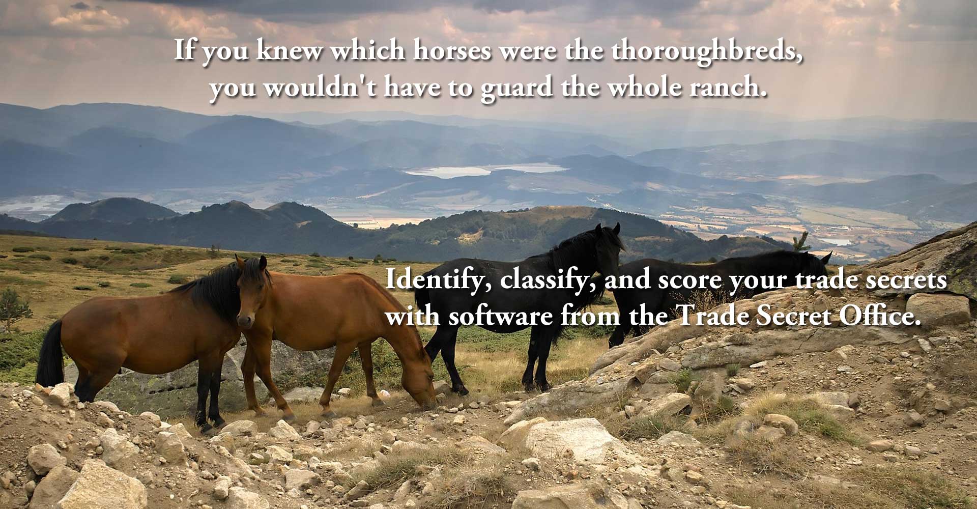 If you knew which horses were the thoroughbreds, you wouldn't have to guard the whole ranch.